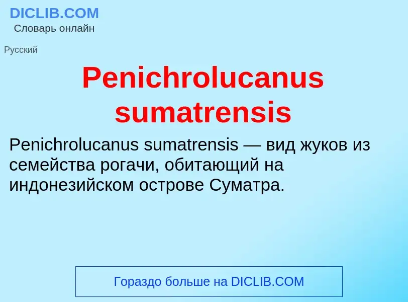 What is Penichrolucanus sumatrensis - definition