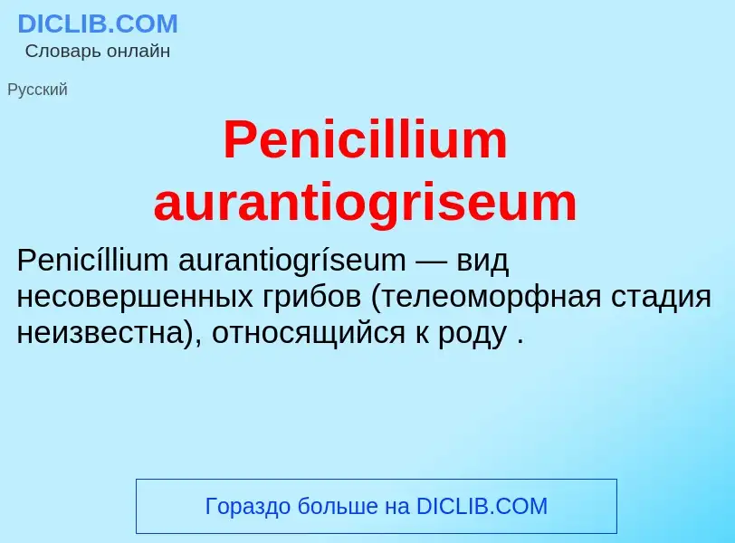 What is Penicillium aurantiogriseum - definition