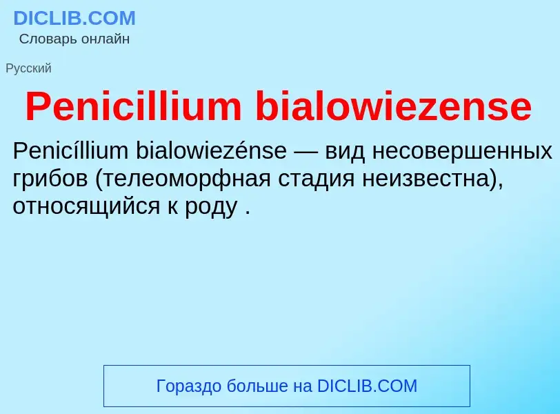 What is Penicillium bialowiezense - definition