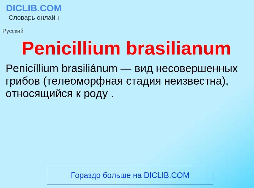 What is Penicillium brasilianum - definition