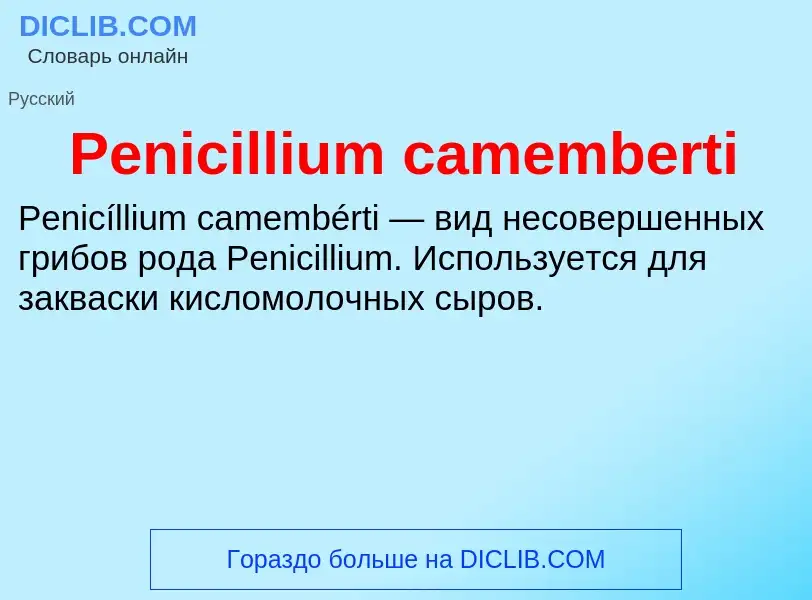 What is Penicillium camemberti - definition