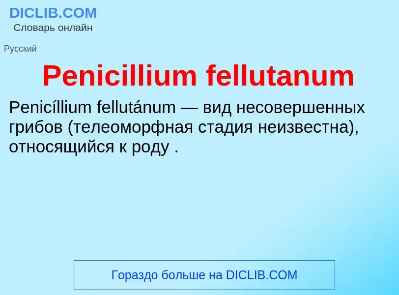 What is Penicillium fellutanum - definition