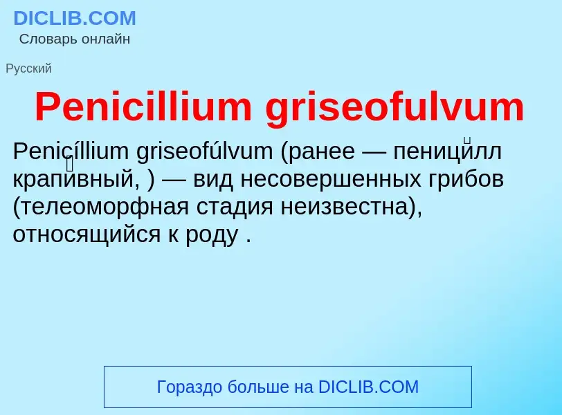 What is Penicillium griseofulvum - definition