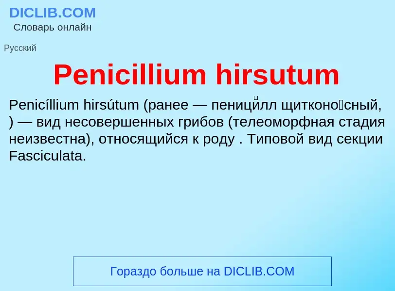 What is Penicillium hirsutum - definition