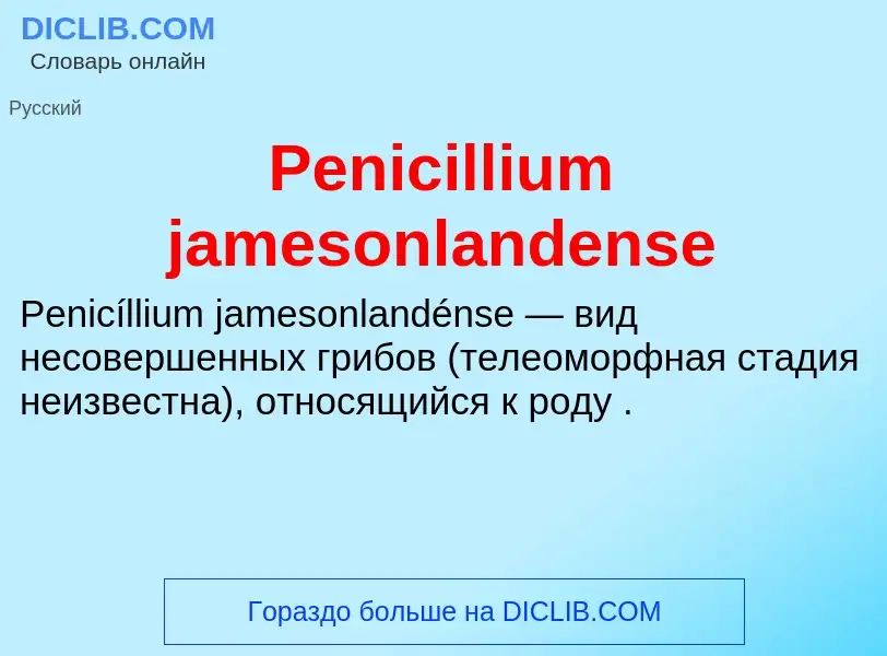 What is Penicillium jamesonlandense - definition