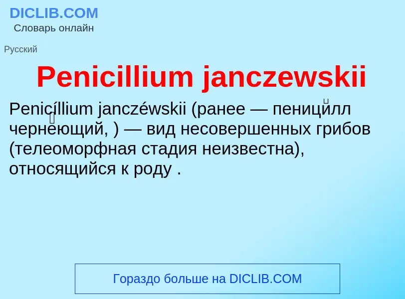 What is Penicillium janczewskii - definition