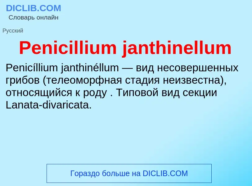 What is Penicillium janthinellum - definition