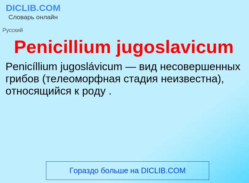 What is Penicillium jugoslavicum - definition