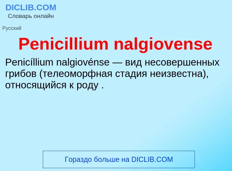 What is Penicillium nalgiovense - definition