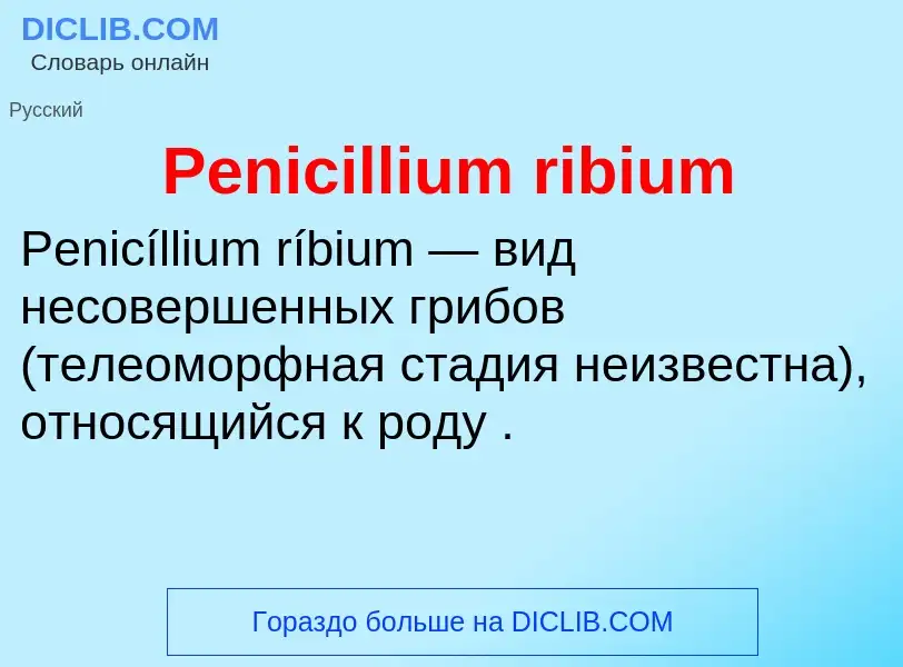 Wat is Penicillium ribium - definition