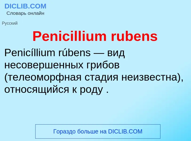 Wat is Penicillium rubens - definition