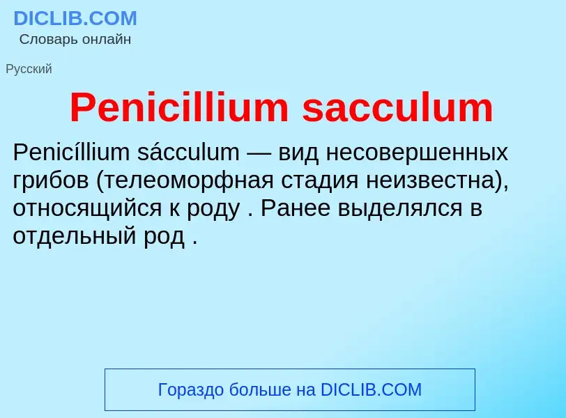 Wat is Penicillium sacculum - definition