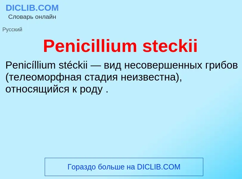 Wat is Penicillium steckii - definition