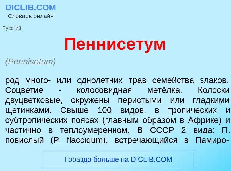 Wat is Пеннис<font color="red">е</font>тум - definition