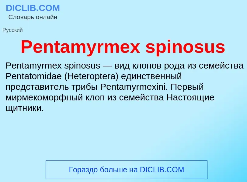 Wat is Pentamyrmex spinosus - definition