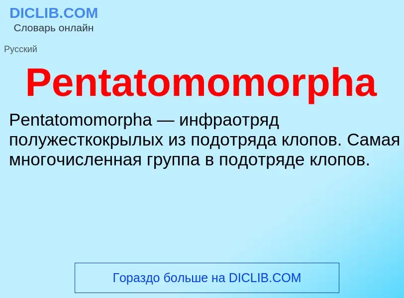 Wat is Pentatomomorpha - definition