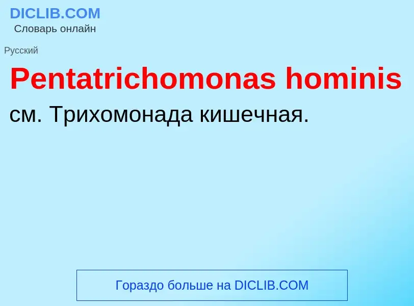 Wat is Pentatrichomonas hominis - definition