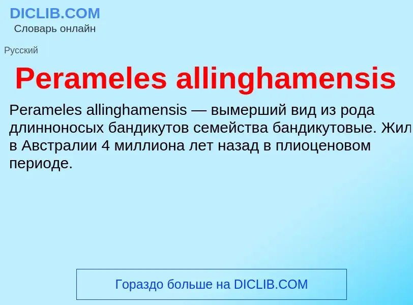 Wat is Perameles allinghamensis - definition