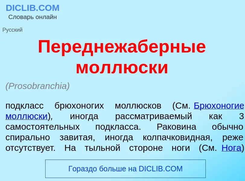 Qu'est-ce que Переднеж<font color="red">а</font>берные молл<font color="red">ю</font>ски - définitio