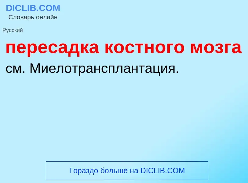 What is пересадка костного мозга - definition