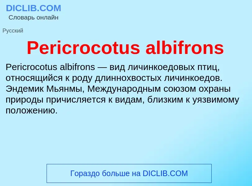 Wat is Pericrocotus albifrons - definition