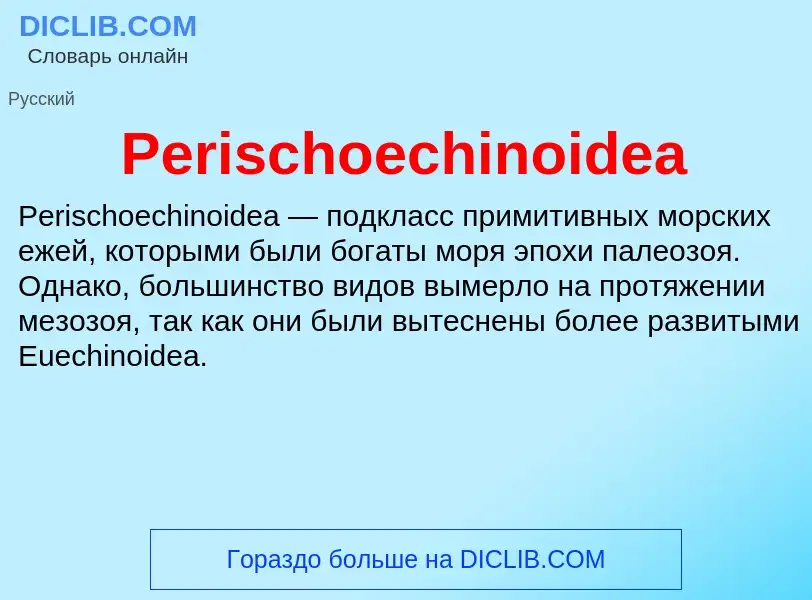 Wat is Perischoechinoidea - definition