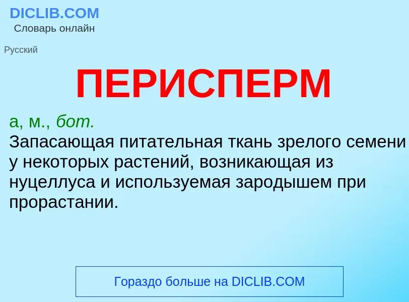 What is ПЕРИСПЕРМ - meaning and definition