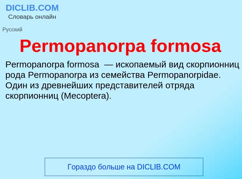 Wat is Permopanorpa formosa - definition