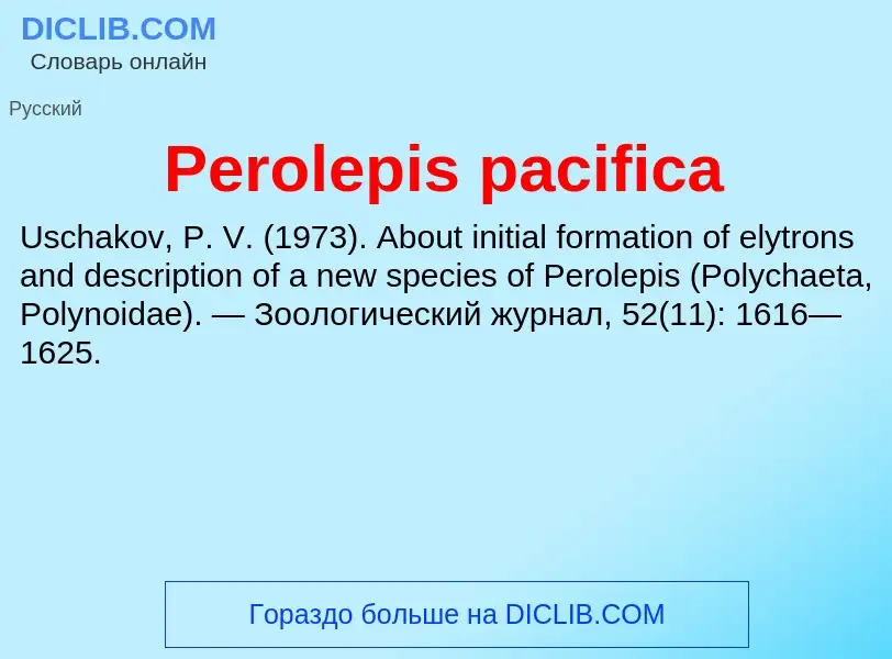 Wat is Perolepis pacifica - definition