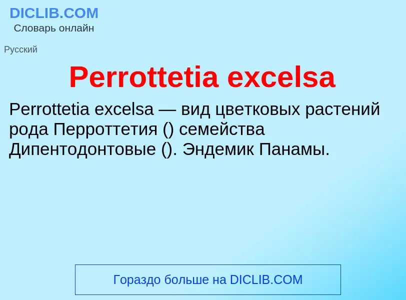 Wat is Perrottetia excelsa - definition