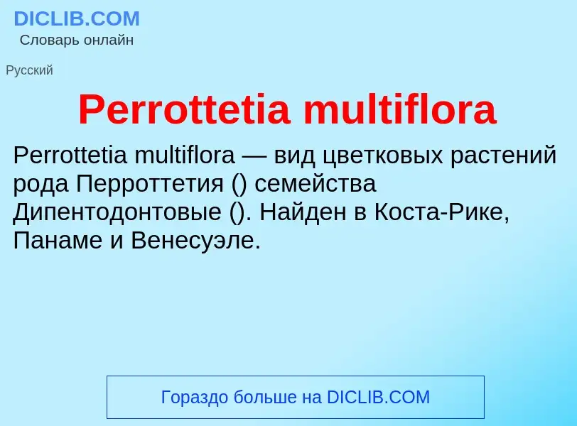 Wat is Perrottetia multiflora - definition