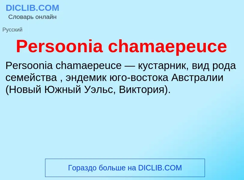 Wat is Persoonia chamaepeuce - definition