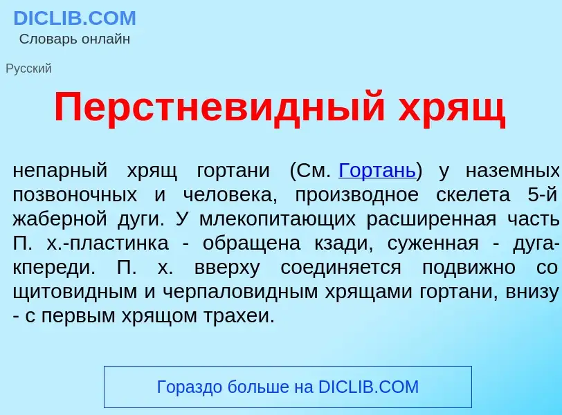 Che cos'è Перстнев<font color="red">и</font>дный хрящ - definizione