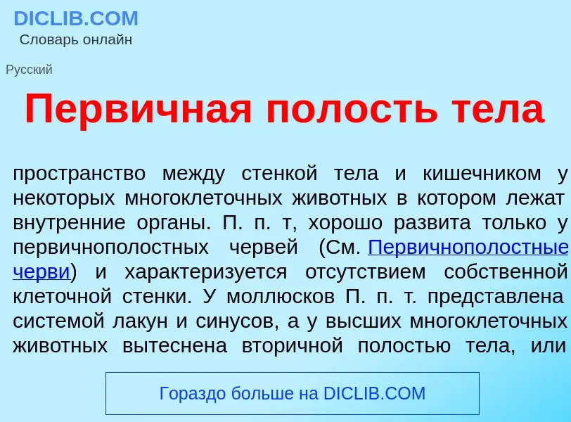 O que é Перв<font color="red">и</font>чная п<font color="red">о</font>лость т<font color="red">е</fo