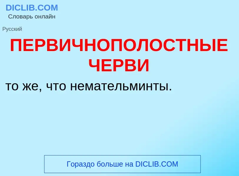 Wat is ПЕРВИЧНОПОЛОСТНЫЕ ЧЕРВИ - definition