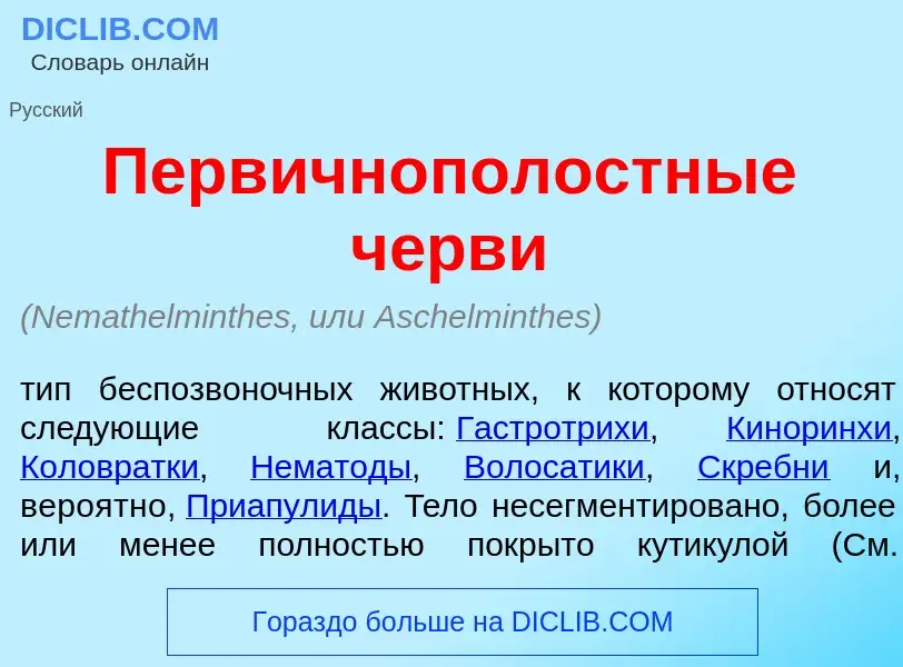 What is Первичнополостн<font color="red">ы</font>е ч<font color="red">е</font>рви - definition