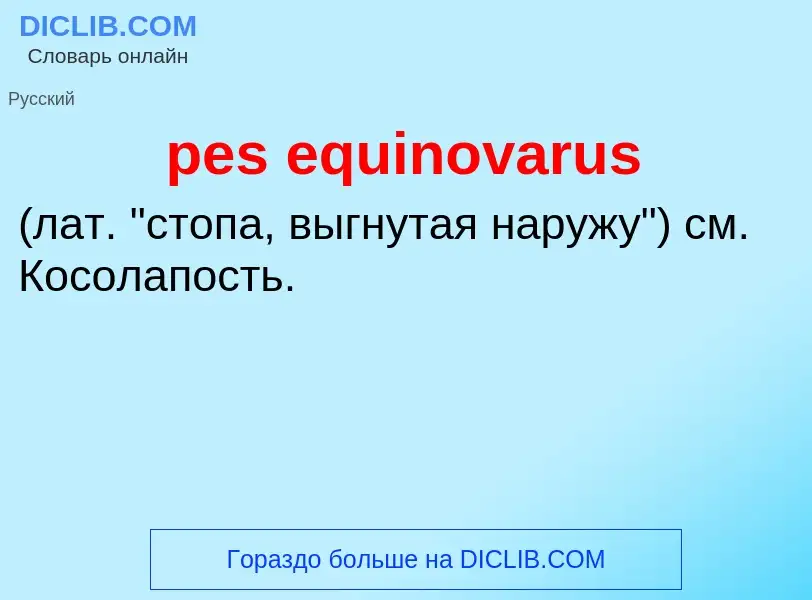 Wat is pes equinovarus  - definition