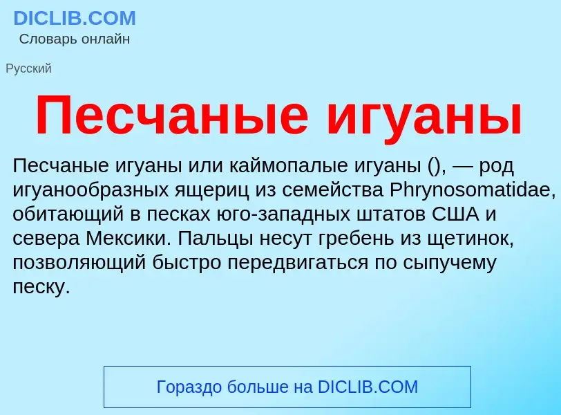 What is Песчаные игуаны - meaning and definition