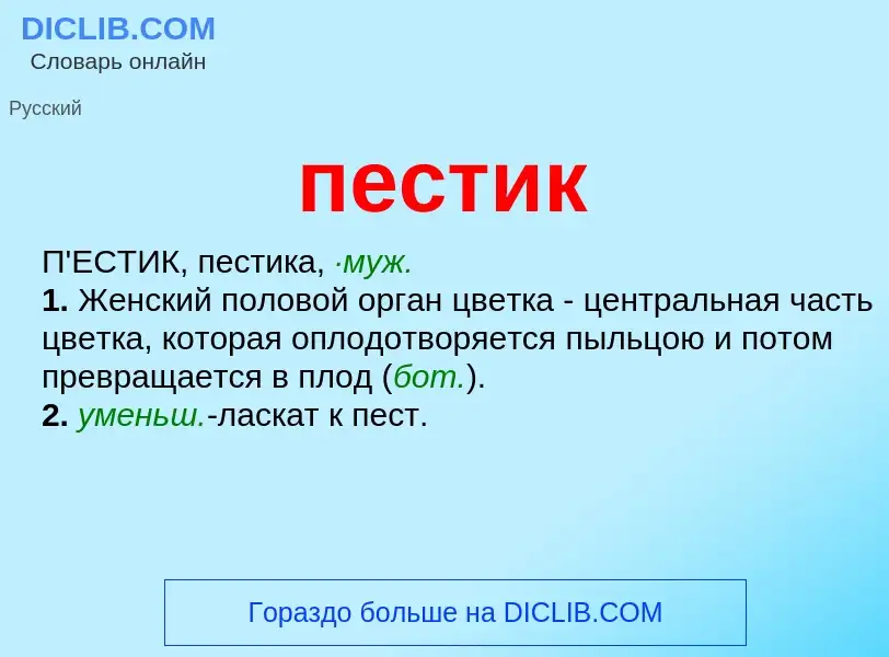 Wat is пестик - definition