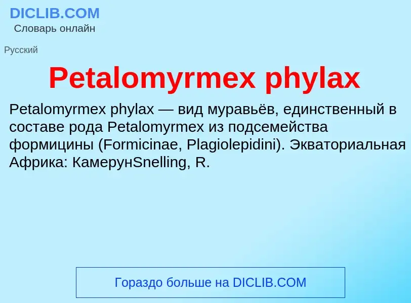 Wat is Petalomyrmex phylax - definition