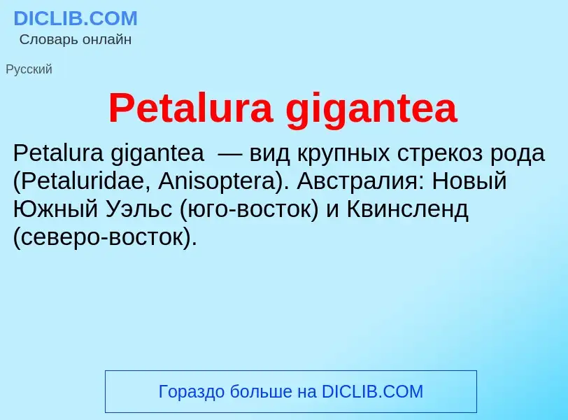 Wat is Petalura gigantea - definition