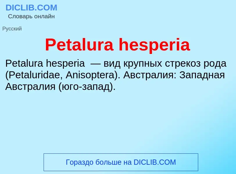 Wat is Petalura hesperia - definition