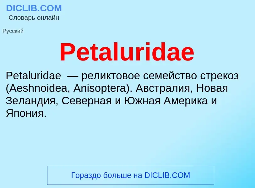 Wat is Petaluridae - definition