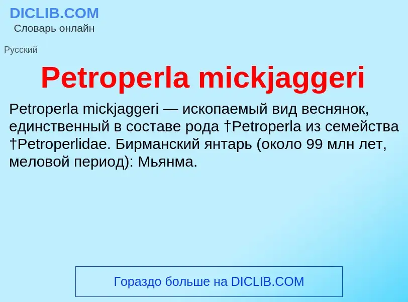 Wat is Petroperla mickjaggeri - definition