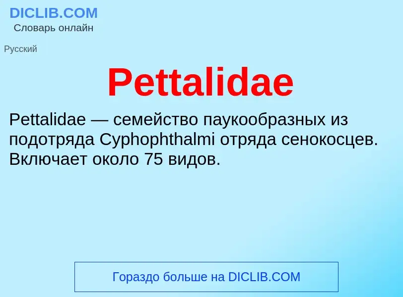 Wat is Pettalidae - definition