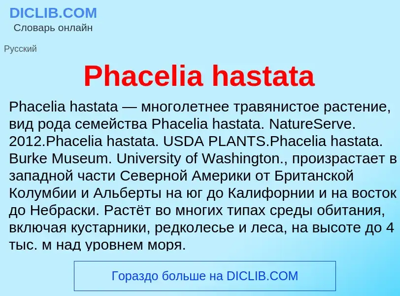 Wat is Phacelia hastata - definition