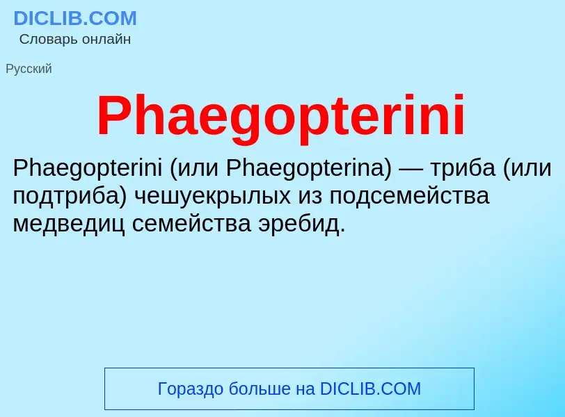 Wat is Phaegopterini - definition