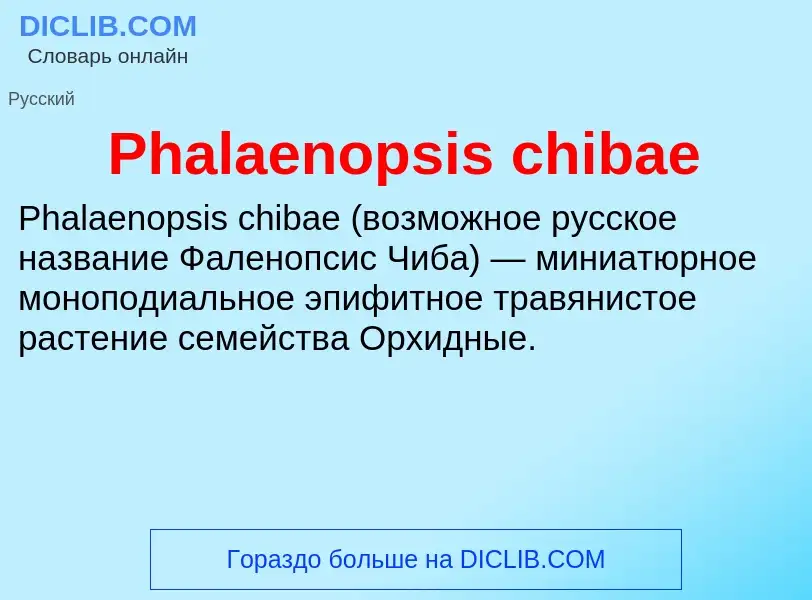 Wat is Phalaenopsis chibae - definition