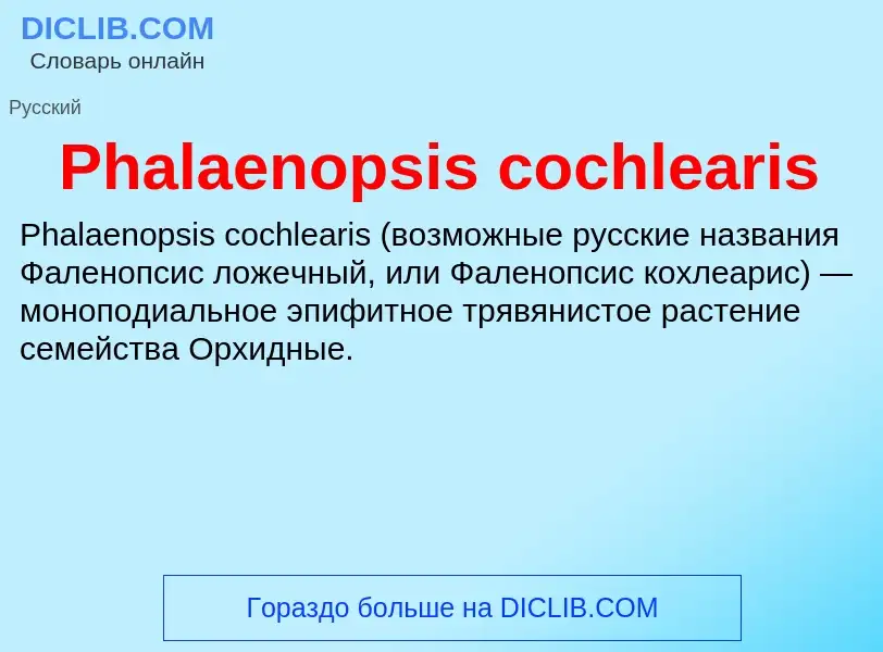 Wat is Phalaenopsis cochlearis - definition