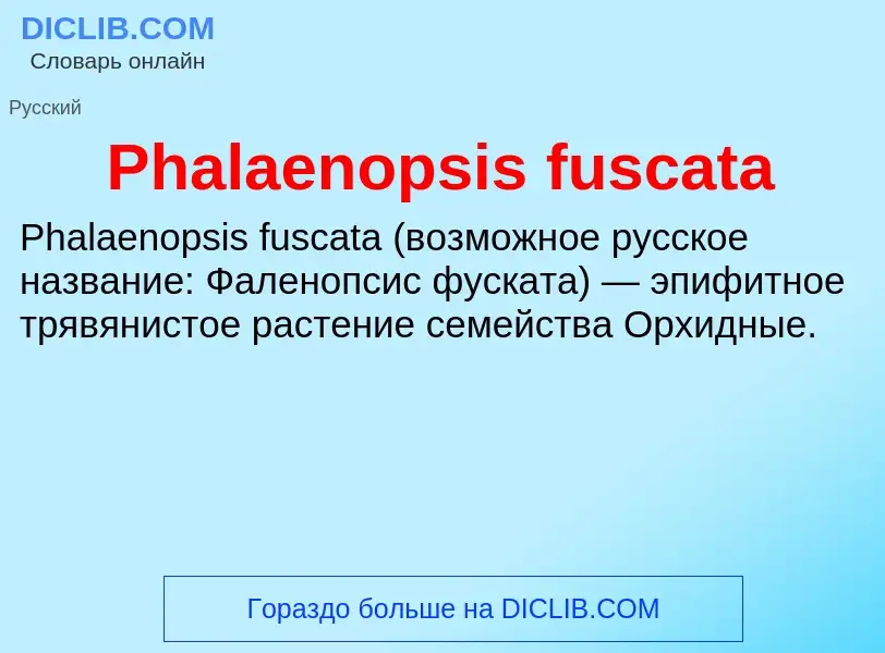 Wat is Phalaenopsis fuscata - definition